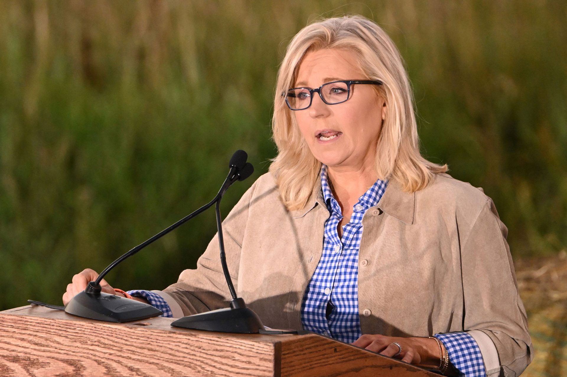 Liz Cheney Height, Age, Body Measurements, Wiki